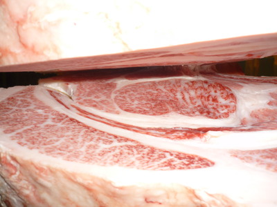 ͥ���ޣ��ʡ�156��ƣ�Ҿ쭡