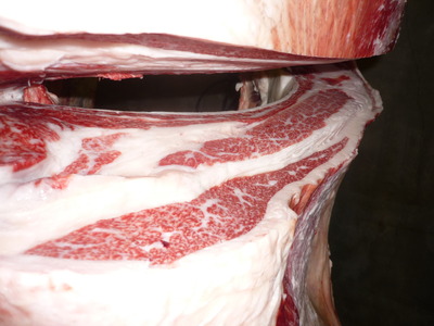 ���쥤������̾ޡ�112���ĸ筢