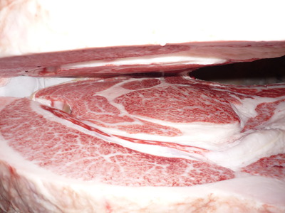 ͥ�ɾޡ�108����ʸͺ��