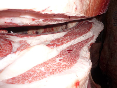 ͥ�ɾޡ�160Ȫü��֭�