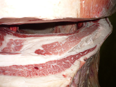 ͥ���ޣ��ʡ�106�������­�