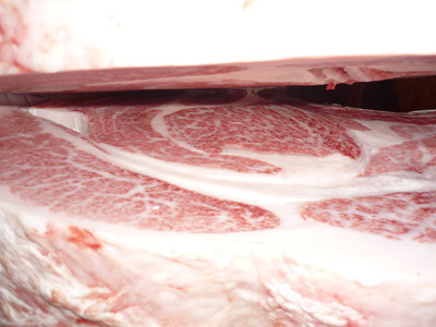 ͥ���ޣ��ʡ�093������δ��