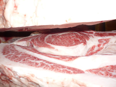 ͥ�ɾޡ�128�������쭡