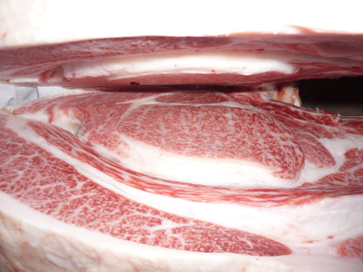 ̾���ޡ�097���ܼ�����