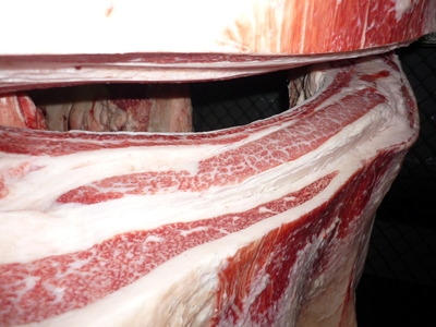 Í¥Îɾޡ¡083ËÈÅÄËÒ¾ì¢