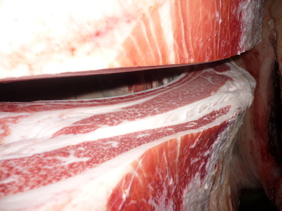 ͥ����2�ʡ�182����δ��