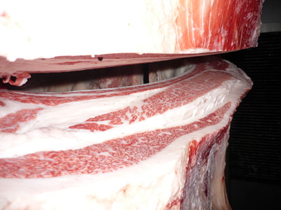 Í¥½¨¾Þ£²ÀÊ¡¡097ËÅļé¢