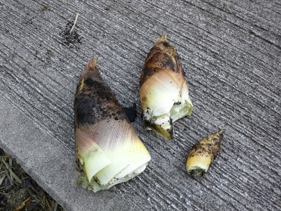 a0b3039a.jpg