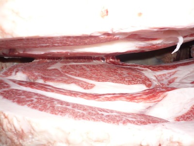 ͥ�ɾޡ�36����δ��