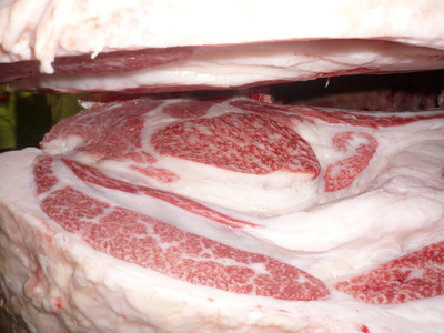 Í¥Îɾޡ¡063Âç¾ìÏÂÌé¡