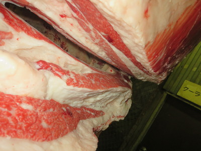 20201106.158�ꥷ�Х�����