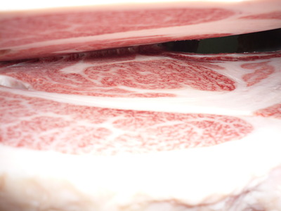 ͥ���ޣ��ʡ�34�������쭡