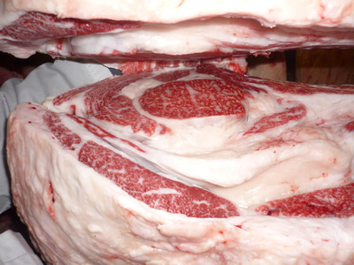 ���쥤������̾ޡ�133�����Ҿ쭡