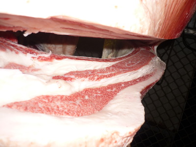 ͥ�ɾޡ�123������