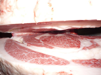 Í¥ÎɾÞ53¾ÂÅÄÄ®¡