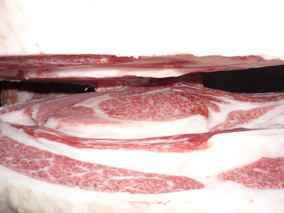 ͥ�ɾޡ�41�����ҭ�