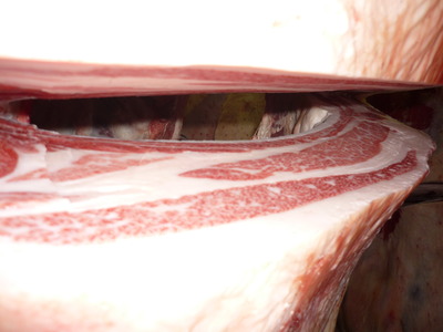 ͥ�ɾޡ�4145�����ڰ��׭�