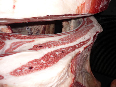 Í¥Îɾޡ¡072°ÂÅçʸͺ¢