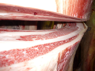 ͥ�ɾ�64ݯ�止