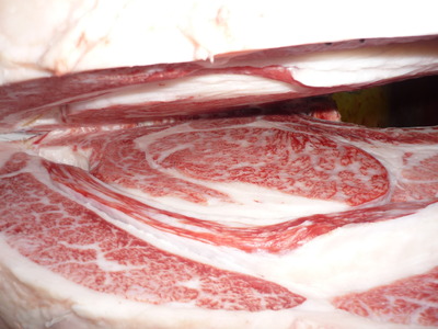 Í¥ÎɾÞ069êÈÓ¼ÃÜ»º¡