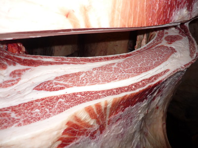 Í¥½¨¾Þ£±ÀÊ¡¡074¸ÅÂôÌÐÏ¢