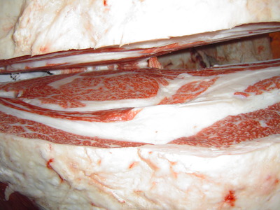 ͥ������04