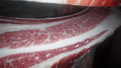 20201013.41�뤫�Ĥټ����Ҿ쭢�侩��