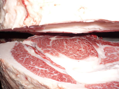 Í¥ÎɾÞ56¼ÆÅÄÃμù¡