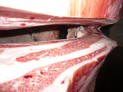 ��ͥ����41���Ӹ��ҭ�