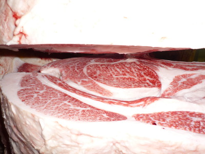 ͥ�ɾޡ�155��ƣ�׭�