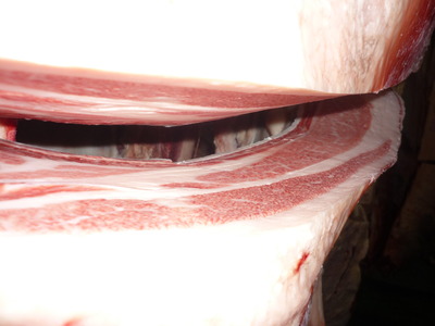 Í¥½¨¾Þ¡¡042ÎëÌÚͳ¹Ô¢