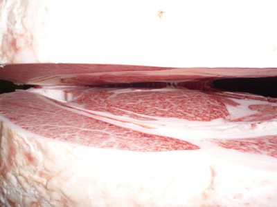 ��ͥ����06(��)�����Ҿ쭡