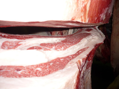 ͥ���ޣ��ʡ�135�����ϢPF�����Ҿ쭢