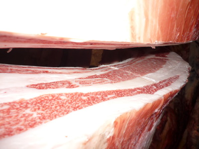 ͥ����5071���ܭ�