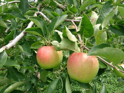 ab9624a1.jpg