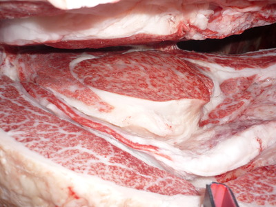 ͥ�ɾޡ�081�ޤĤ���Ҿ쭡