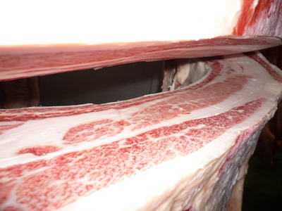 ͥ�ɾ�5094�����˭�