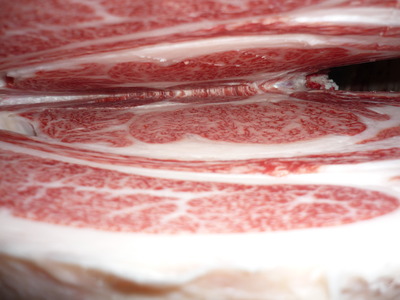 ͥ�ɾޡ�15�к�ѭ�