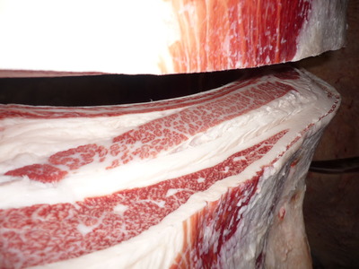 206�����ϢPF���Į�Ҿ쭢