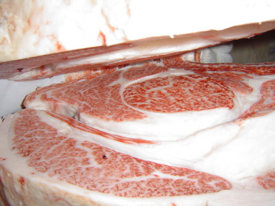 ͥ����2�ʡ����ڡ˾�������