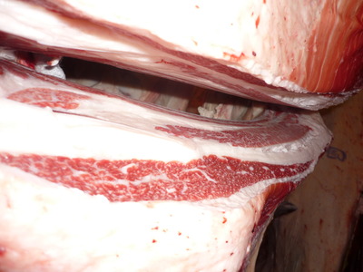 ���쥤������̾ޡ�120���Ҥ���Į�µ����󥿡���