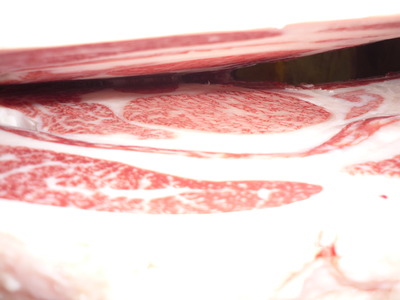 ͥ�ɾޡ�4123����ˮ�˭�