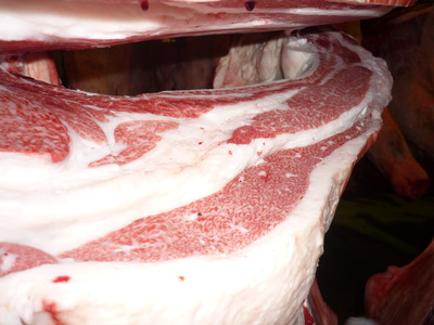 ͥ���ޣ��ʡ�5048�����ҭ�