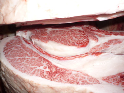 ͥ�ɾޡ�081Ĺ�羡�˭�