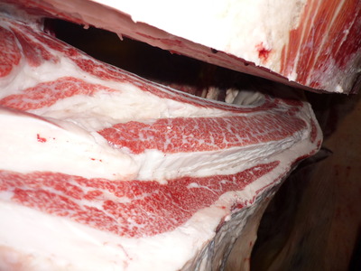 ͥ���ޣ��ʡ�075��¼���Ļҭ�