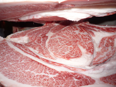 Í¥ÎɾÞ154ÀÐùõ¶Ñ¡