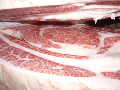 ͥ�ɾޡ�113�������쭡