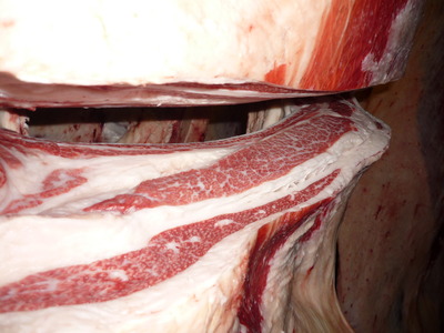 Í¥½¨¾Þ£±ÀÊ58º´Æ£½¤¢