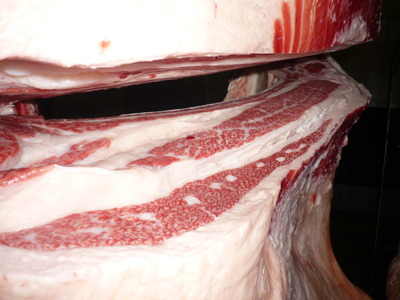 109��ͥ�ɾޡ��������­�