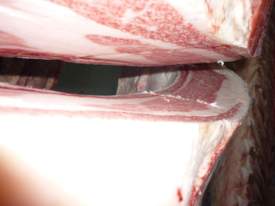 ͥ���ޣ��ʡ�34�������쭢